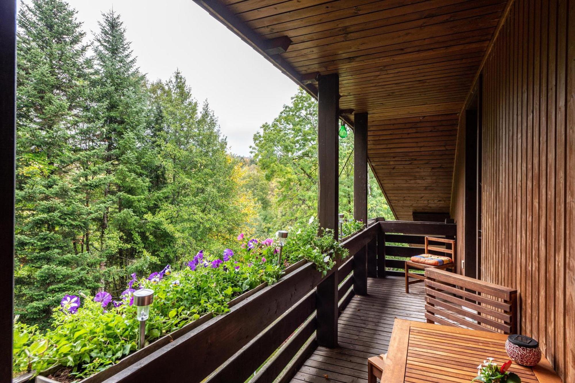 Landhaus Am Schmiedebach Wittenschwand Eksteriør bilde